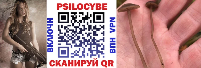 Галлюциногенные грибы Cubensis Лесосибирск