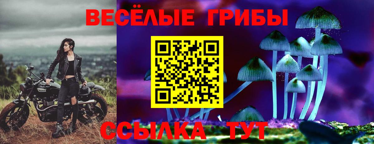 Псилоцибиновые грибы MAGIC MUSHROOMS  Псилоцибиновые грибы Cubensis  Вход с VPN  Лесосибирск 